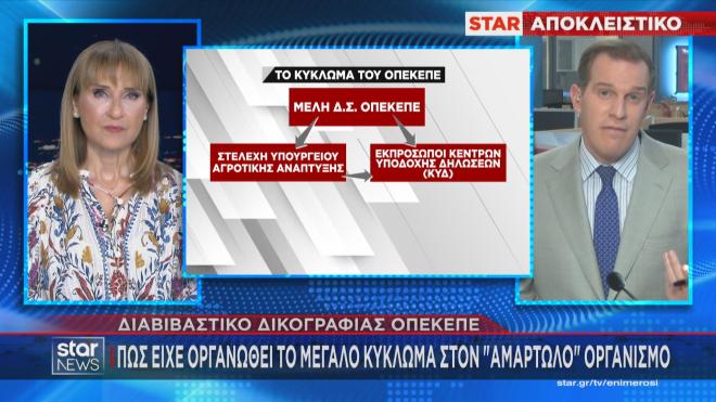 ΟΠΕΚΕΠΕ: Πώς δρούσαν τα κυκλώματα  