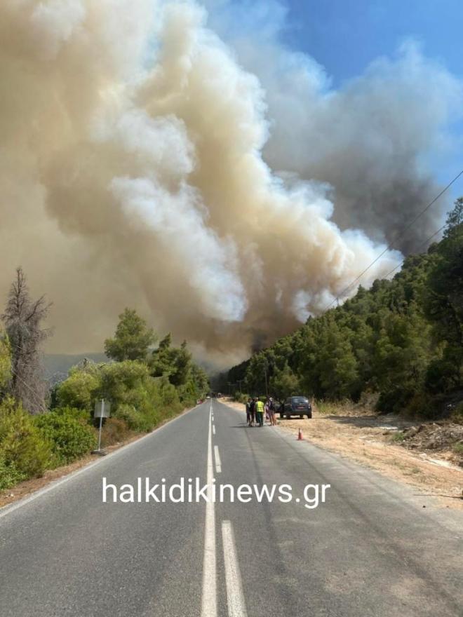 Φωτιά στη Βουρβουρού Χαλκιδικής 