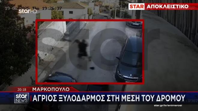 Μαρκόπουλο: Πατέρας δέχθηκε άγρια επίθεση από γείτονά του με σιδερολοστό