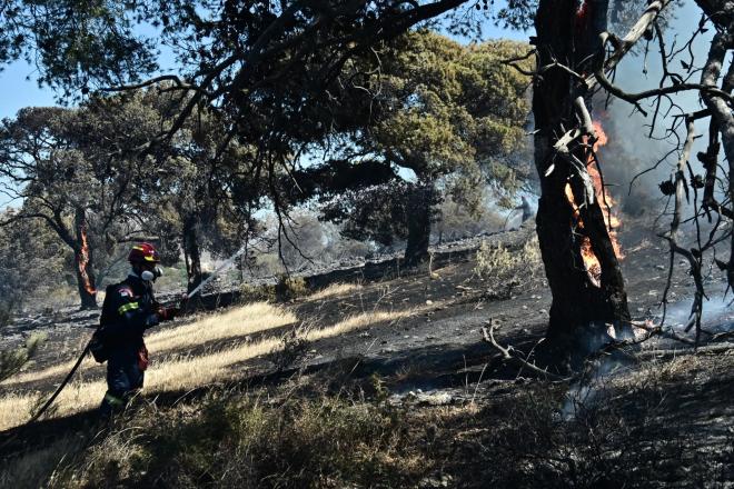 Σε ύφεση η φωτιά στο Κορωπί