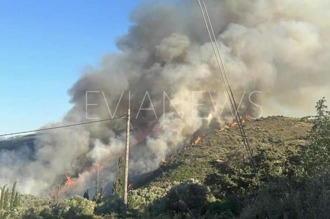 Η φωτιά στα Μεσοχώρια της Εύβοιας (φωτογραφία evianews.com)   