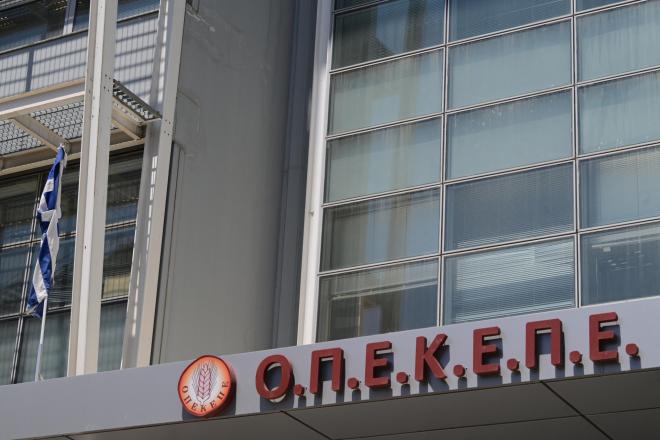 Οι αξιωματικοί της Δίωξης Οικονομικού Εγκλήματος πήραν έγγραφα και σκληρούς δίσκους υπολογιστών από τον ΟΠΕΚΕΠΕ - Eurokinissi