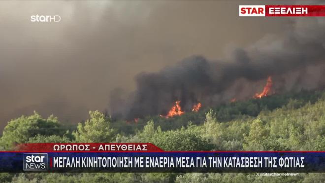 Φωτιά στον Ωρωπό
