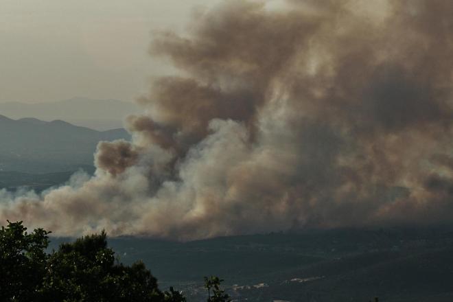 Με το πρώτο φως της μέρας ξεκίνησαν οι εναέριες ρίψεις νερού στη φωτιά που ξέσπασε στον Ωρωπό - Eurokinissi