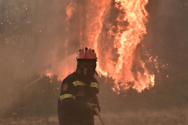 Σύμφωνα με τον δήμαρχο Ωρωπού κάηκαν 1.000 στρέμματα αναγεννημένου πευκοδάσους - Eurokinissi