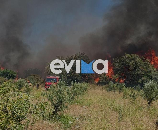 Φωτιά τώρα Εύβοια