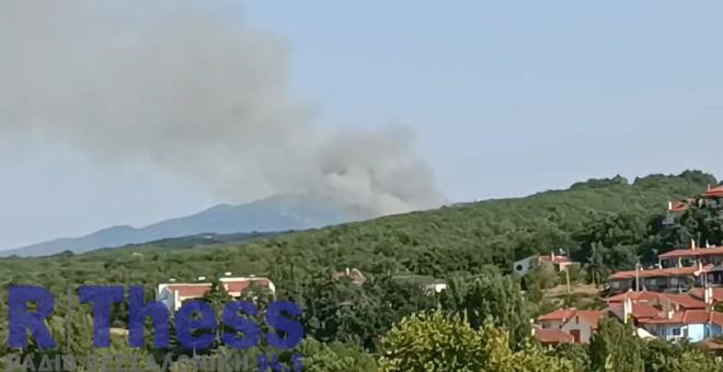 Φωτιά στο Φίλυρο Θεσσαλονίκης