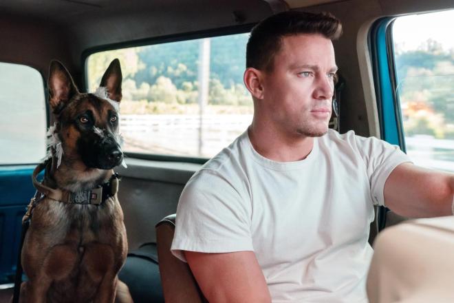 DOG: Απόψε στο Star σε Α' Τηλεοπτική Προβολή