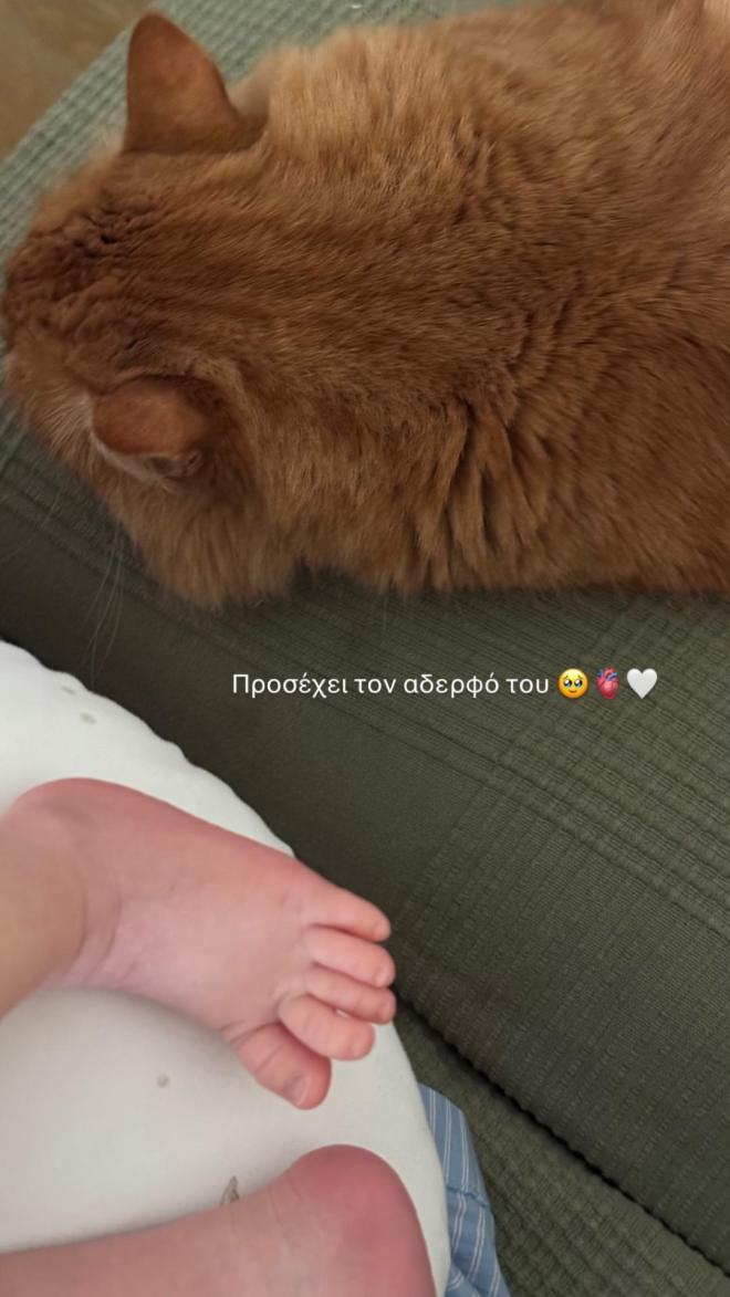 Η τρυφερή φωτογραφία του γατούλη με τον μπεμπάκο της οικογένειας