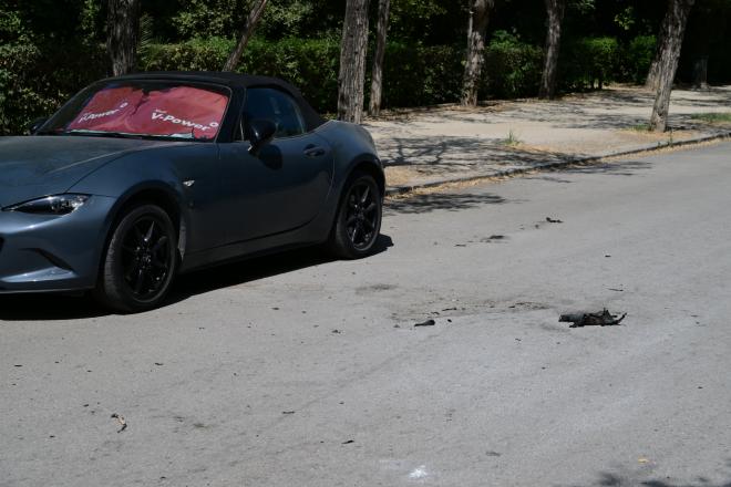 Κατέληξε η 67χρονη γυναίκα που αυτοπυρπολήθηκε στο Ζάππειο/ Eurokinissi Μπόλαρη Τατιάνα