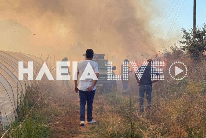 Φωτιά στα Λεχαινά 