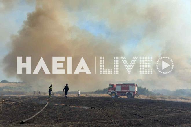 Φωτιά σε αγροτοδασική έκταση στα Λεχαινά 