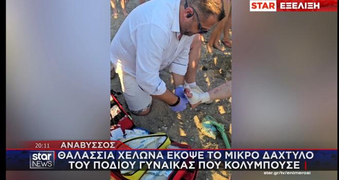 Θαλάσσια χελώνα δάγκωσε λουόμενη – Τραυματίστηκε σοβαρά
