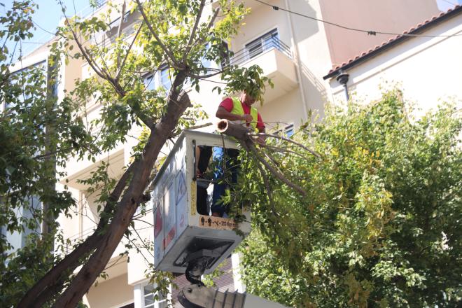 Δέντρο έπεσε στην Ερμού λόγω των θυελλωδών ανέμων - Eurokinissi