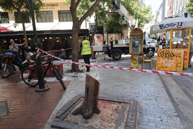 Το δέντρο έπεσε στη συμβολήτης Ερμού με την Ευαγγελιστρίας - Eurokinissi