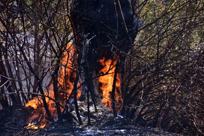 Κερατέα: Επεκτείνεται η φωτιά στην Παλαιά Φώκαια