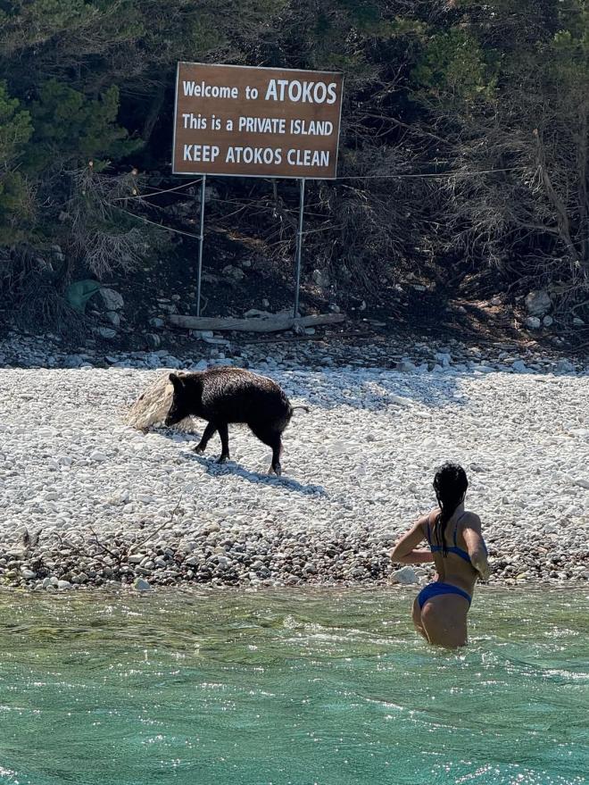 Δήμητρα Αλεξανδράκη: Φωτογραφίζεται Τόπλες Στις Διακοπές 