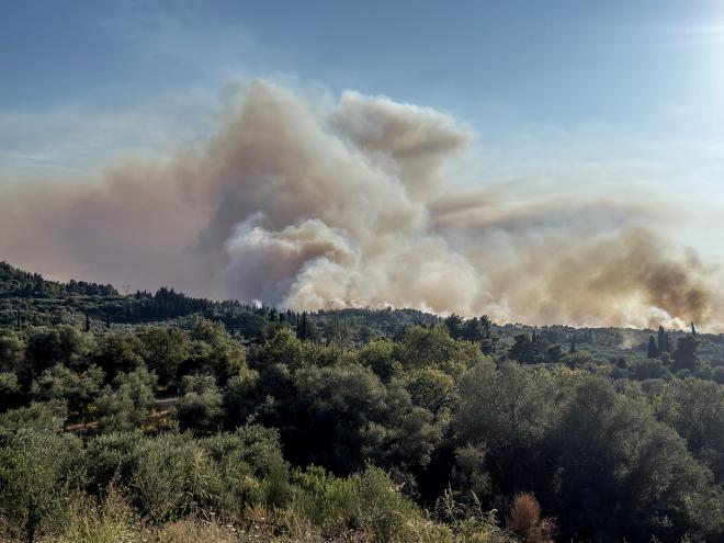 Πυρκαγιά στη περιοχή Χελιδόνι στην Αρχαία Ολυμπία/ / Eurokinissi ILIALIVE.GR ΓΙΑΝΝΗΣ ΣΠΥΡΟΥΝΗΣ