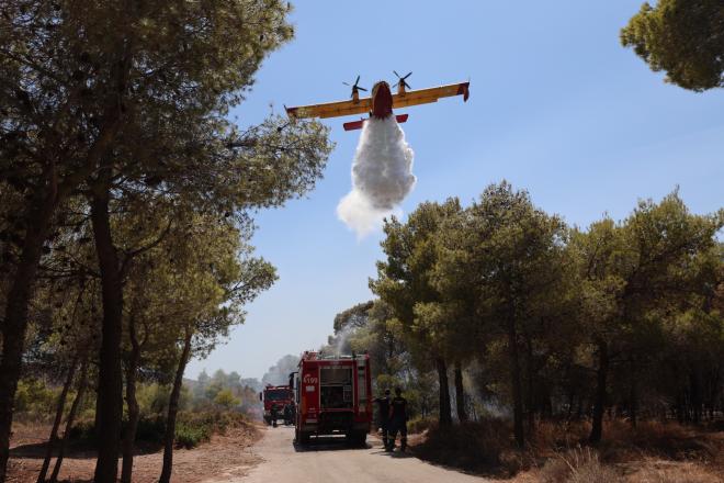 Πυροσβεστικές δυνάμεις για τη φωτιά στη νοτιοανατολική Αττική, σήμερα Σάββατο 9/8/25 - Εurokinissi Γιάννης Παναγόπουλος