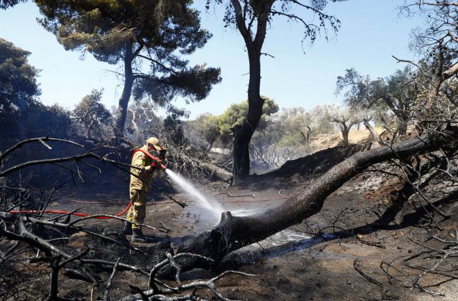 Σβήνουν τις τελευταίες εστίες οι πυροσβεστικές δυνάμεις/ INTIME ΣΑΡΕΛΑΣ ΔΗΜΗΤΡΗΣ