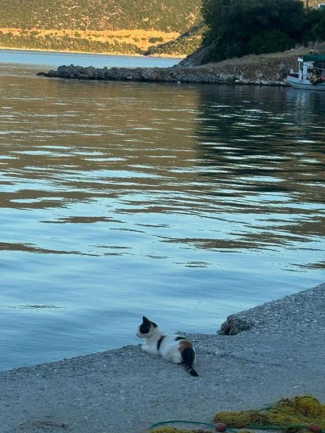 Καβογιάννη: Διακοπές στο Πήλιο πριν ξεκινήσουν τα γυρίσματα του Maestro