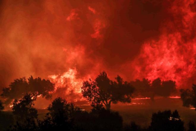 ΠΥΡΚΑΓΙΑ ΣΤΗΝ ΑΧΑΪΑ. ΑΧΑΓΙΑ (ΔΗΜΗΤΡΗΣ ΧΡΙΣΤΟΔΟΥΛΟΠΟΥΛΟΣ/EUROKINISSI)