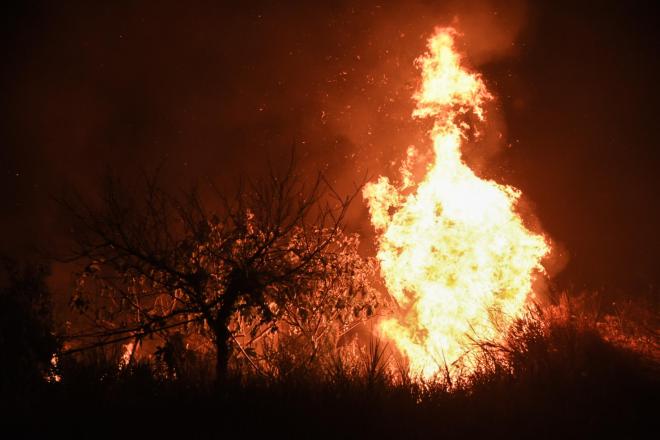 ΠΥΡΚΑΓΙΑ ΣΤΗΝ ΑΧΑΪΑ. ΑΧΑΓΙΑ (ΔΗΜΗΤΡΗΣ ΧΡΙΣΤΟΔΟΥΛΟΠΟΥΛΟΣ/EUROKINISSI)