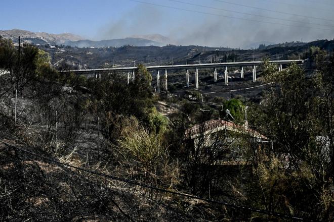 Φωτιά Πάτρα: Εικόνες καταστροφής