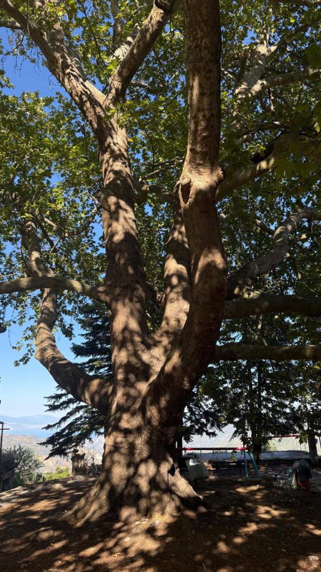 Οι φωτογραφίες που πόσταρε η παρουσιάστρια από την οικογενειακή της εξόρμηση