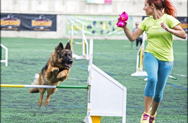 Πόσο αναγκαία είναι η συστηματική άσκηση για το κατοικίδιό μας;