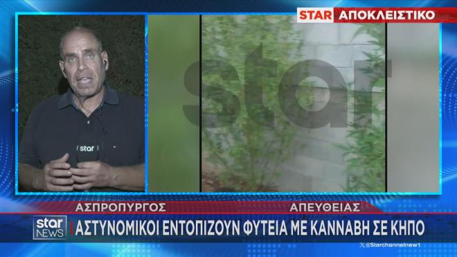 Η φυτεία με κάνναβη σε κήπο μονοκατοικίας 