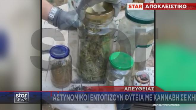 Και συσκευασίες κάνναβης σε βαζάκια βρήκαν οι αστυνομικοί στον Ασπρόπυργο  