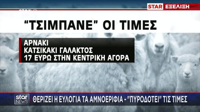Ευλογιά στα αιγοπρόβατα
