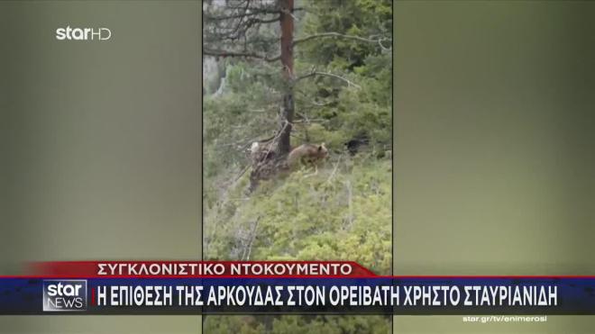 Βίντεο με την επίθεση αρκούδας: Η στιγμή που ο ορειβάτης πέφτει στον γκρεμό