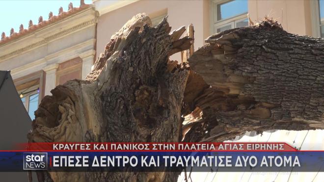 Μιλά μέσα από το νοσοκομείο ο άνδρας που τραυματίστηκε από πτώση δέντρου
