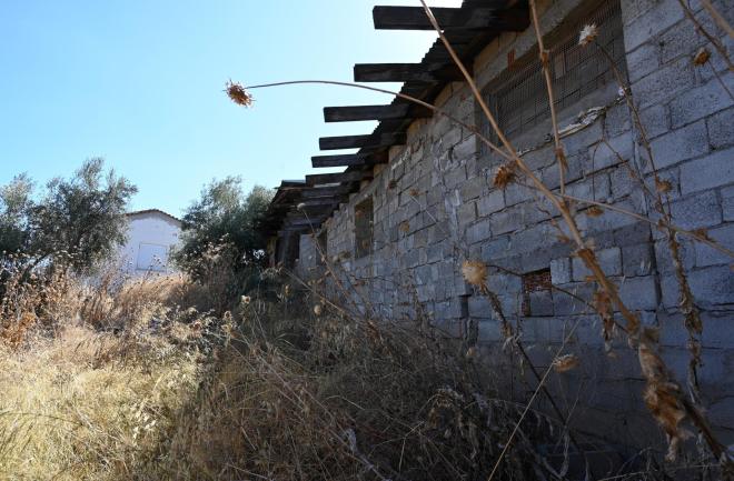 Όπως είπε ο γιος της 62χρονης, η μητέρα του όταν έφτασε η αστυνομία φοβήθηκε ότι θα τη θεωρούσαν υπεύθυνη για τον θάνατο της γιαγιάς του - Intimenews