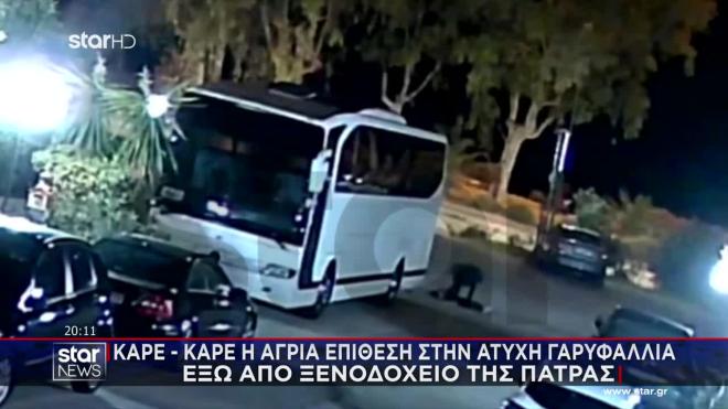 Καρέ καρέ η μοιραία επίθεση στην άτυχη Γαρυφαλλιά έξω από ξενοδοχείο