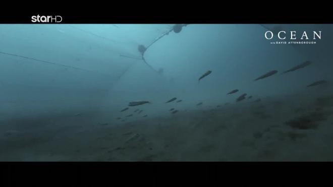 Οcean