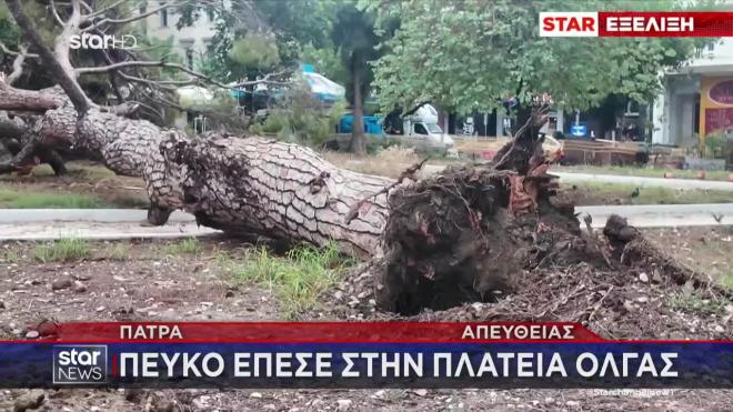Στην Πάτρα έπεσε ένα δέντρο στην πλατεία Όλγας