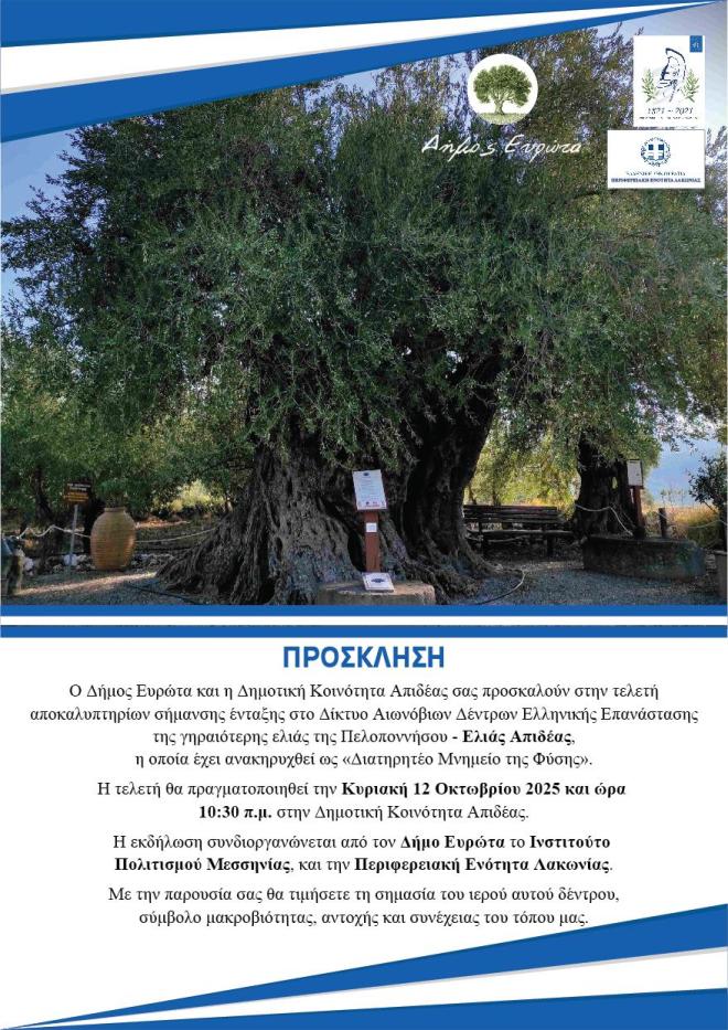 Ελιά ετών... 2000! Ο γηραιότερος μάρτυρας της Επανάστασης στην Πελοπόννησο