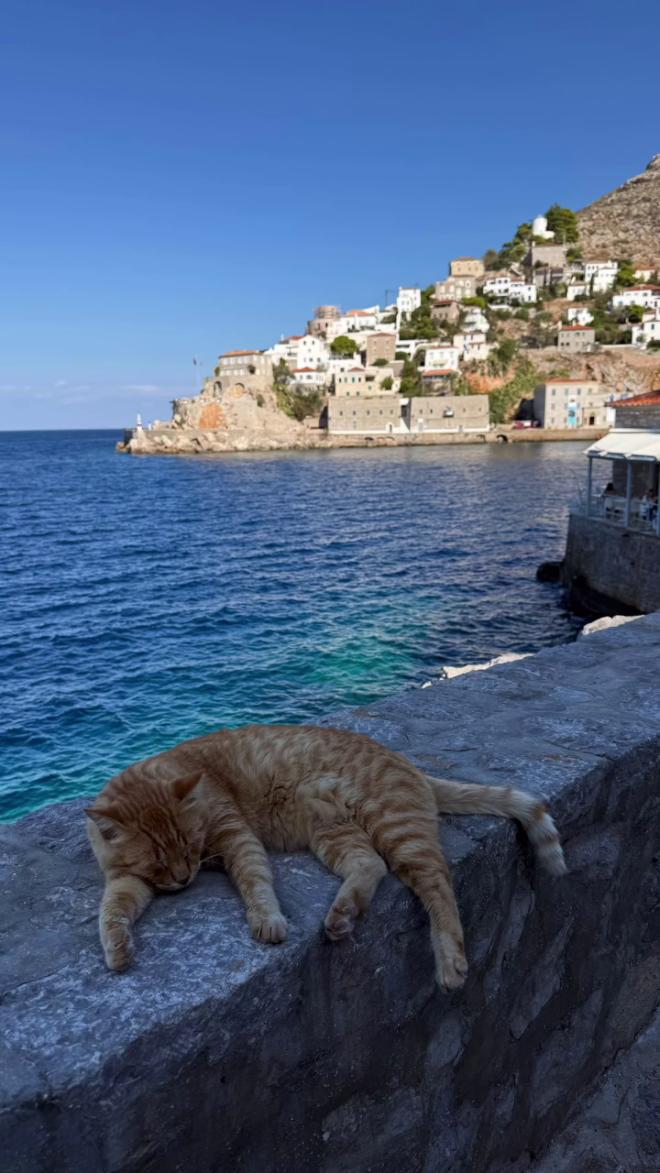Σταματίνα Τσιμτσιλή: Στιγμιότυπο με μια γατούλα στην Ύδρα / instagram
