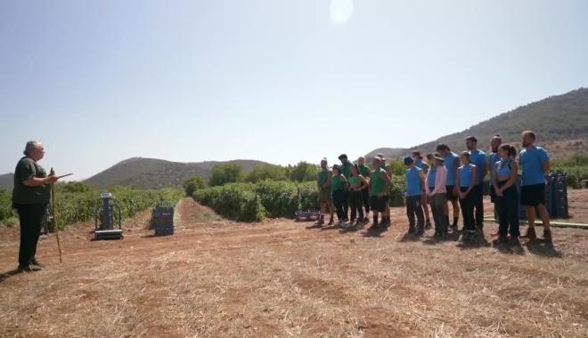 Φάρμα: Ο επιστάτης δε δέχτηκε την πρόταση του «γαλάζιου» αρχηγού να μοιραστούν τα γίδια με τους «πράσινους»!