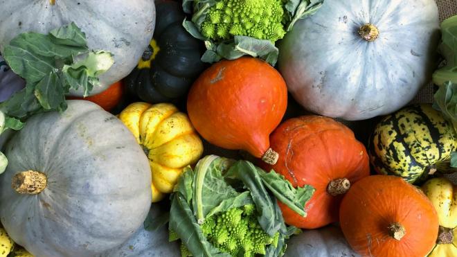 Φθινοπωρινά superfoods: Οι υπερτροφές που θωρακίζουν την υγεία σας