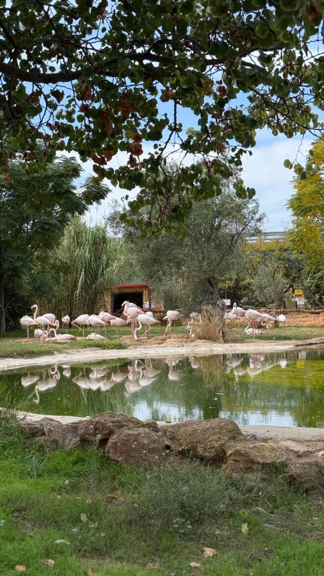 Κωνσταντίνα Σπυροπούλου: Οικογενειακή εξόρμηση στον ζωολογικό κήπο - Οι φωτογραφίες που πόσταρε 