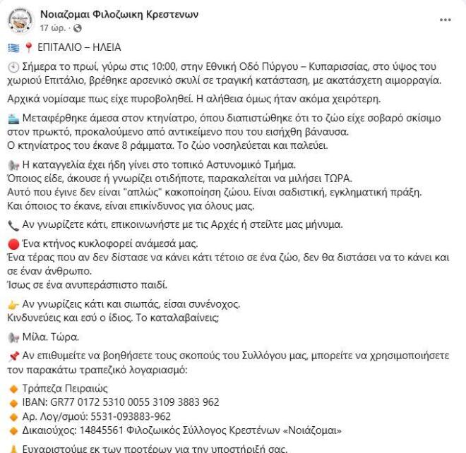 Άγρια κακοποίηση σκύλου στην Ηλεία