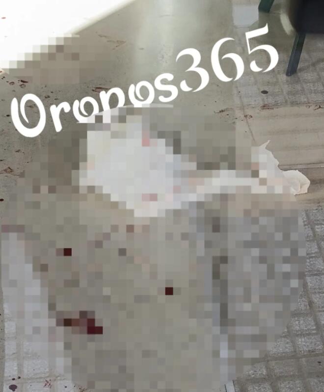 Ωρωπός: Μπήκαν μέσα στο κομμωτήριό του και τον χτύπησαν με σφυριά