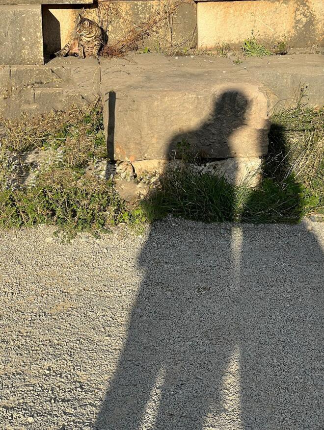 Μαρία Κορινθίου - Γιώργος Καραθανάσης: Όταν οι σκιές... μιλάνε!