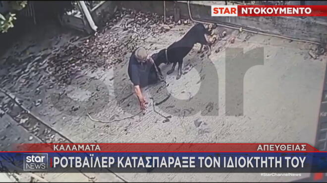 Η άγρια επίθεση του ροτβάιλερ στον ιδιοκτήτη του στη Μεσσηνία