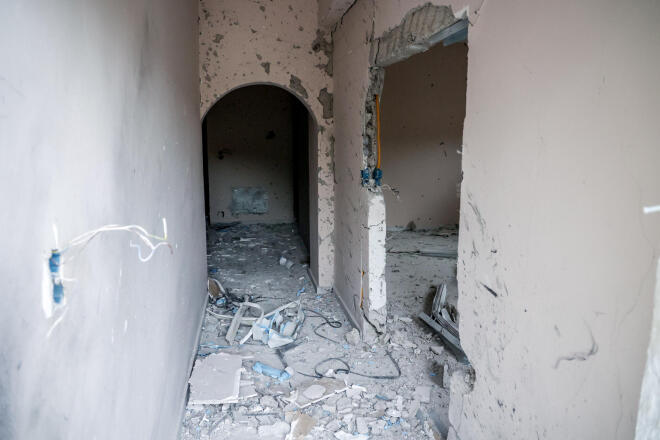 Βορίζια Βεντέτα