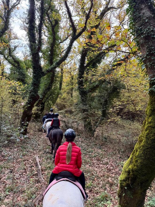 Ελένη Μενεγάκη: Η οικογενειακή βόλτα με τα άλογα